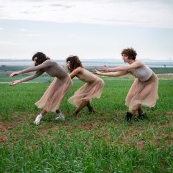 image - שקד זוננפלד nadavhuber